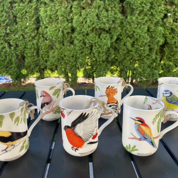 Zestaw 6 Kubków z Kolekcji „Ptaki Polski” by Agata Hajdecka - Porcelana Bone China 2